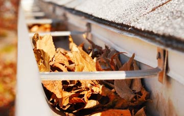Dawesgreen gutter cleaning companies