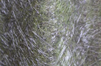 Dawesgreen fibreglass roof work